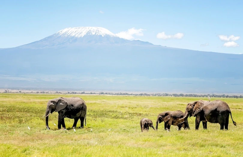 Tanzania