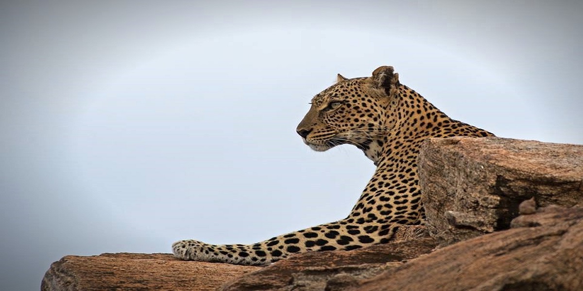 11-Day Fantastic Kenya & Tanzania Budget Safari