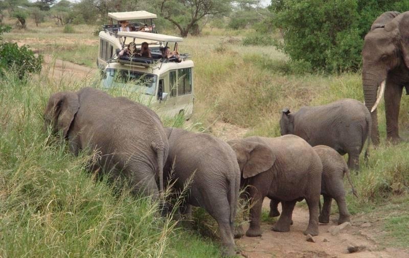 4-Day-Big-Five-Excursion-Mid-Range-Safari