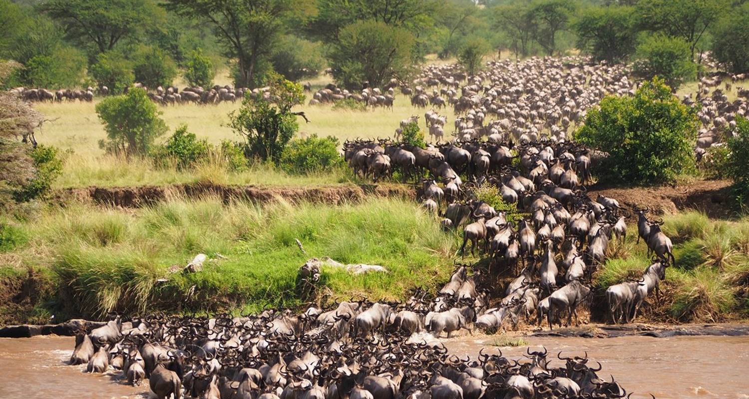 4-Day Taste of Kenya Excursion - Mid-Range