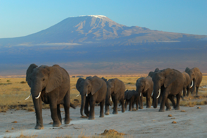 6-Day Budget Kenya Adventure Safari