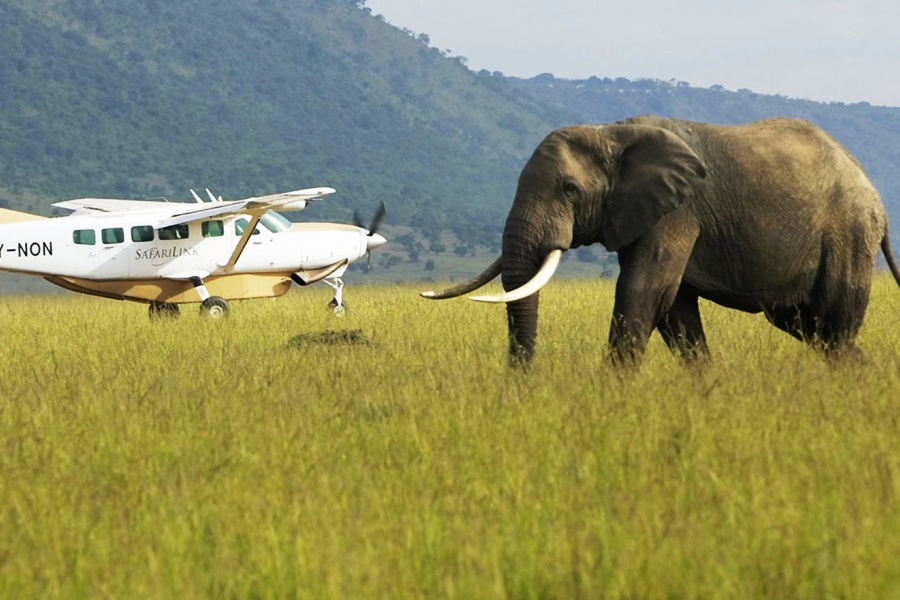 7-Days-Uganda-Rwanda-Combined-Flying-Safari